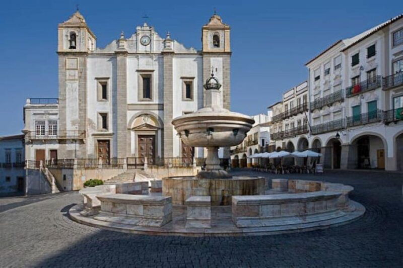 Evora: Wine Tasting and culture Tour - Good To Know