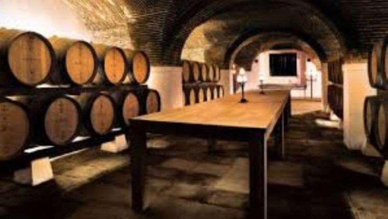 Evora: Wine Tasting and culture Tour - Who Will Love This Tour?