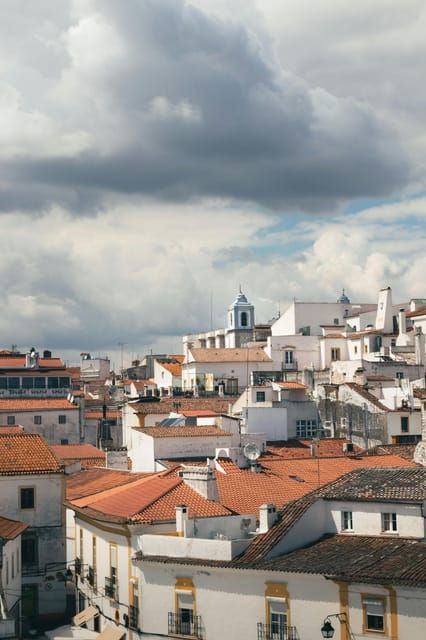 Évora & Wine Tour - Accessibility