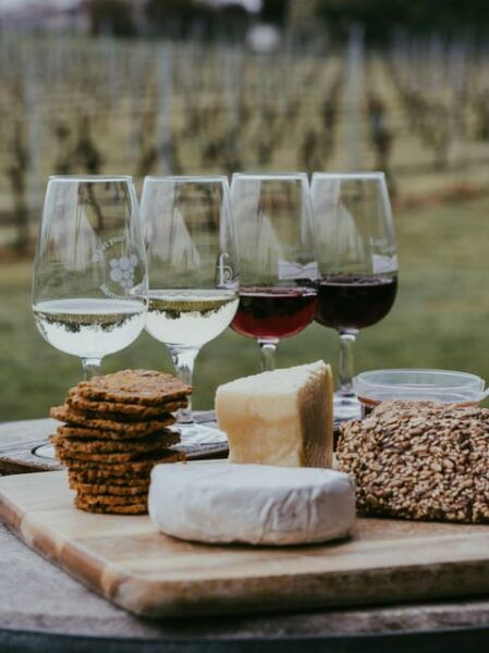 Évora & Wine Tour - Cartuxa Winery