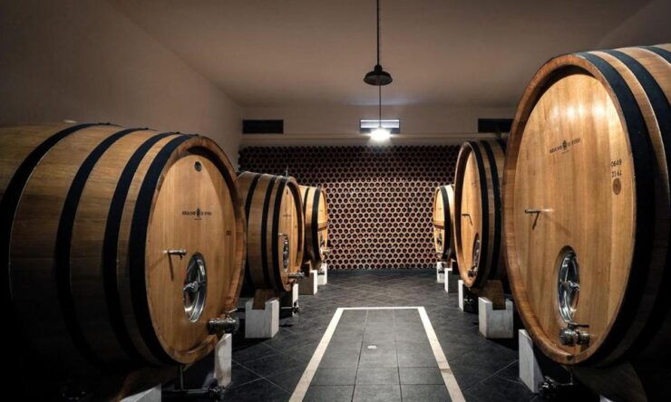 Evora, Winery & Cork Factory: Full-day Private Transport - Highlights