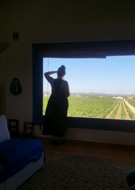 Évora & Wines: A Taste of Authentic Alentejo - Good To Know