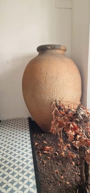 Évora & Wines: A Taste of Authentic Alentejo - Who Is This Tour Best For?