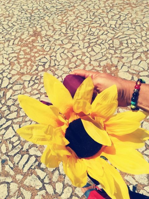 Évora With Love Walking Tour - Highlights