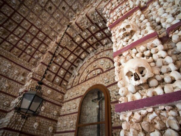 Évora With Wine Tasting - Full Day Private Tour - Activity Description