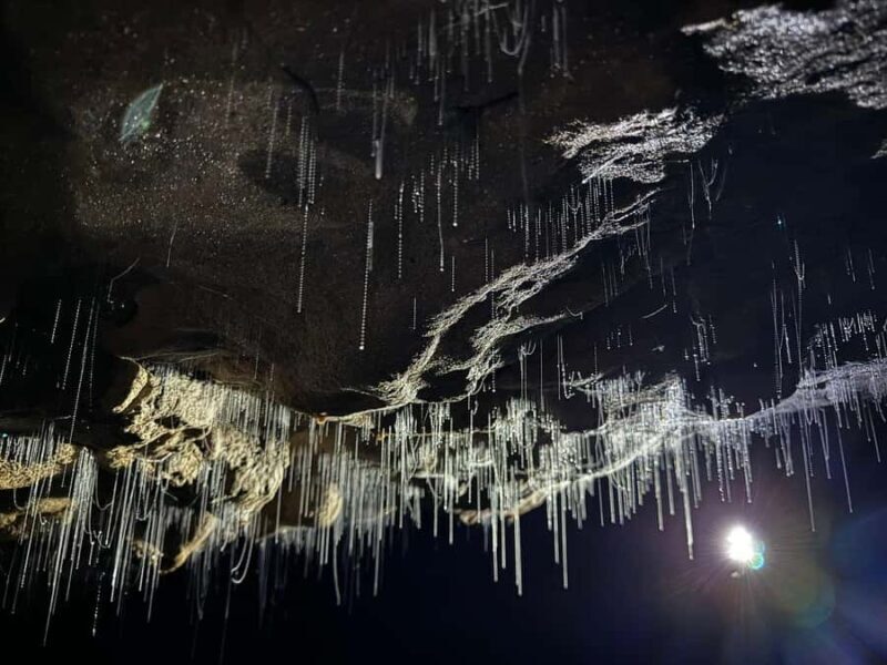 Ex Auckland Spellbound Glowworm & Cave Explorer Private Tour - Authentic Insights from Past Travelers