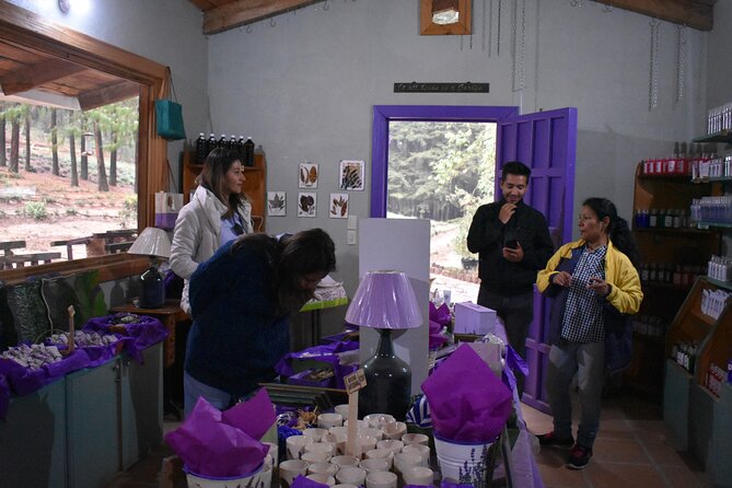 Ex Hacienda, Lavender Ranch, and Valquirico (Private Tour) - Experience ValQuiricos Charm