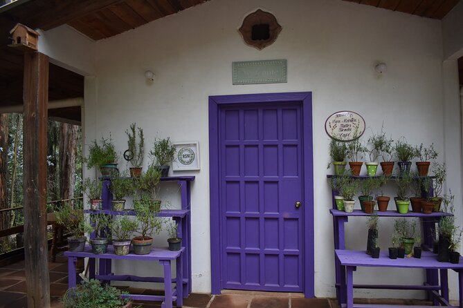 Ex Hacienda, Lavender Ranch, and Valquirico (Private Tour) - Common Questions