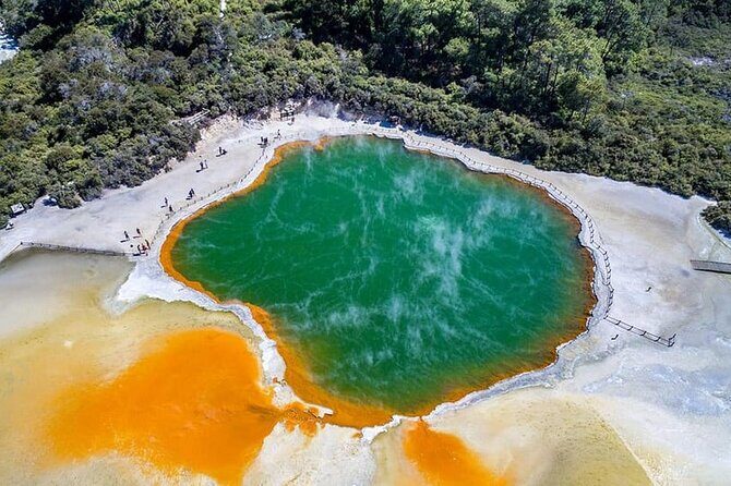 Ex Hamilton: TRIPLE DEAL Wai O Tapu, Redwood Forest & Blue Spring - Good To Know