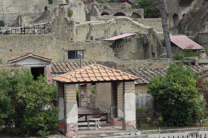 Excavations of Herculaneum. Tour Guide and Skip-The-Line Ticket - Excavations of Herculaneum Overview