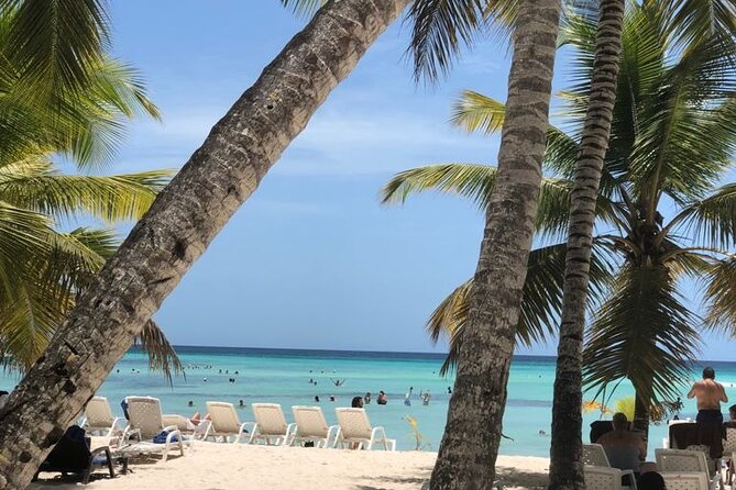 Excelence El Carmen - Round Trip Shuttle - Punta Cana Airport - Private Driver for Stress-Free Transportation