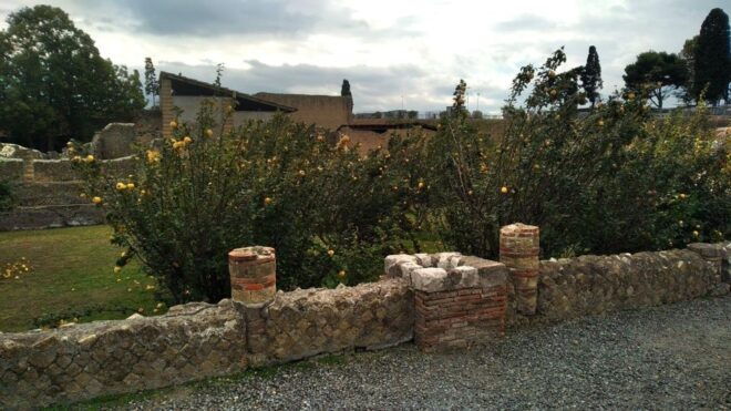 Excellent Herculaneum Guided Tour With a Licensed Guide.. - Additional Costs and Cancellation Policy