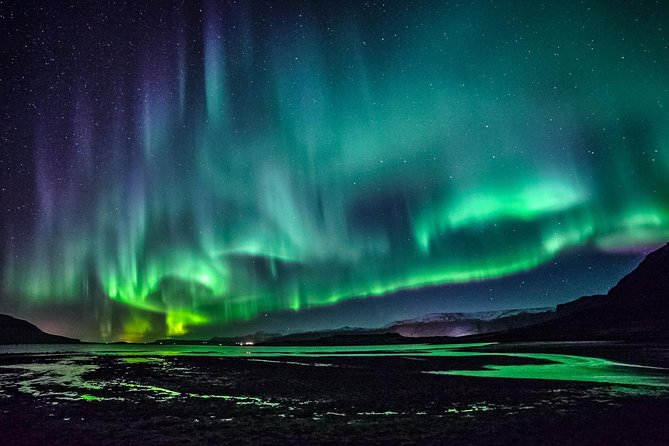 Excellent Northern Lights Small-Group Minibus Tour From Reykjavik - Customer Reviews and Feedback