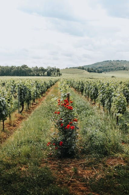 Exception Tour - Key Points