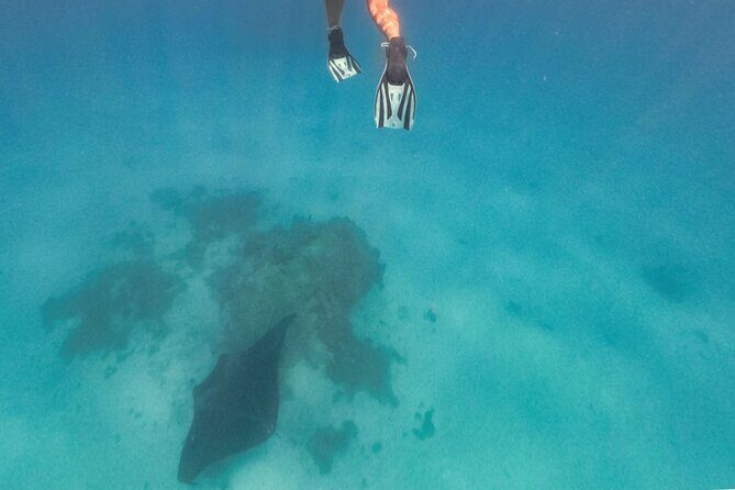 Exceptional Half Day on the Bora Bora Lagoon in Combo - Good To Know