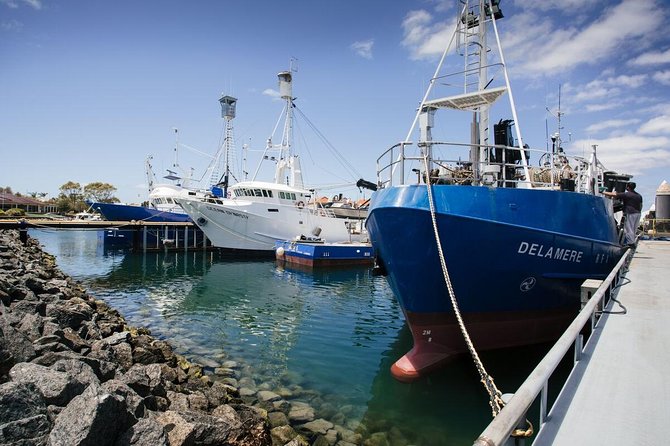 Exceptional Port Lincoln, Seafood and Wildlife Tour - Overview and Highlights