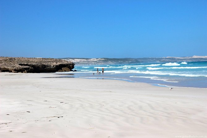 Exceptional Port Lincoln, Seafood and Wildlife Tour - Traveler Photos