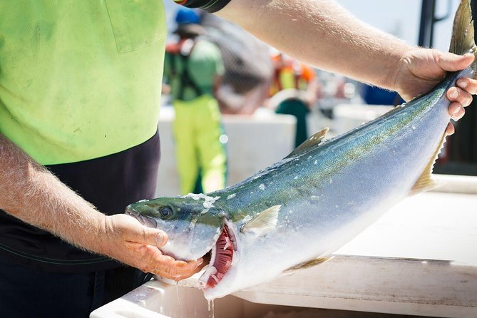 Exceptional Port Lincoln, Seafood and Wildlife Tour - Mikkira Station - Wildlife Encounters