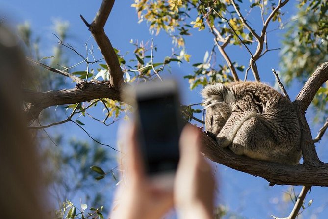 Exceptional Port Lincoln, Seafood and Wildlife Tour - Port Lincoln National Park - Scenic Hike