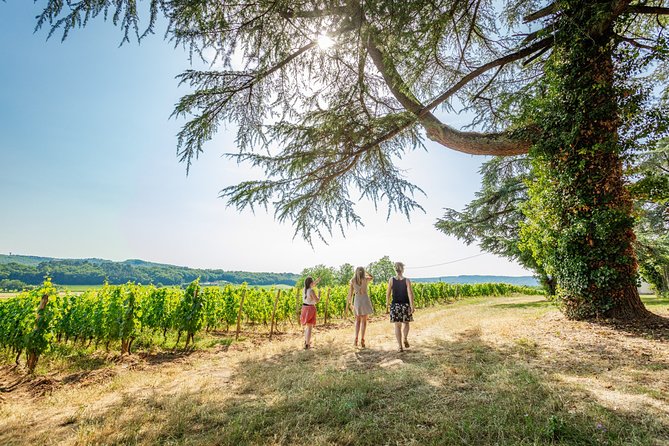 Exceptional Visit and Tasting of 7 Wines - Unique Vineyard and Winery Experience