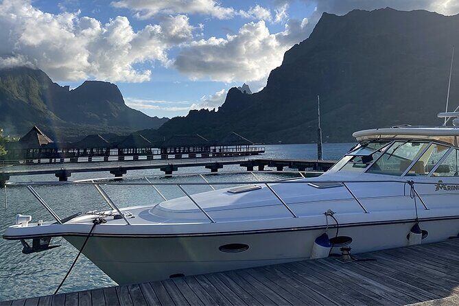Exceptional whale watching in a Tahiti Yacht - Exceptional whale watching in a Tahiti Yacht