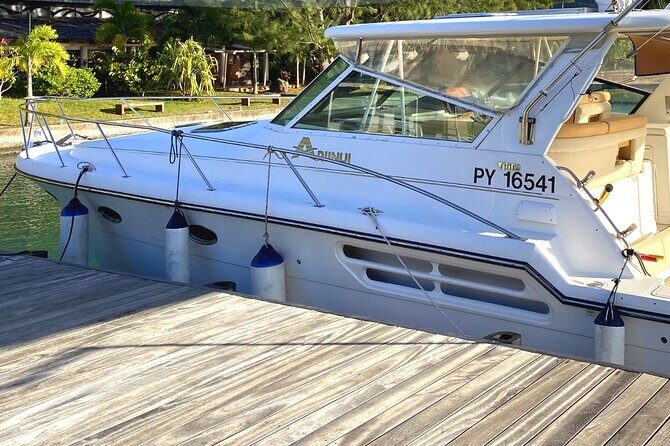 Exceptional whale watching in a Tahiti Yacht - Who should consider this tour?