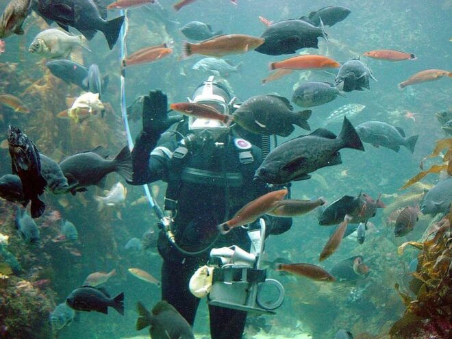 Exciteful Scuba Diving Experience in Antalya - Participant Eligibility