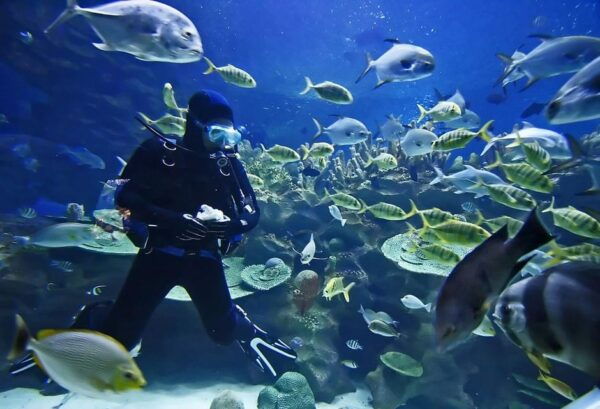 Exciteful Scuba Diving Experience in Antalya - Tips for First-Time Divers
