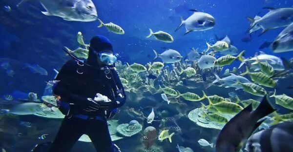 Exciteful Scuba Diving Experience in Antalya - Frequently Asked Questions