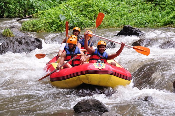 Exciting : 2 - 2,5 Hours RAFTING - Bali SWING ACTIVITY(Fun & Adventure Tours) - Activity Overview