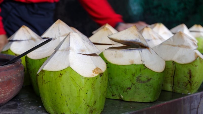 Exciting Bicol Culinary Tour in Albay with ATV Adventure & Highlands Park - What the price buys