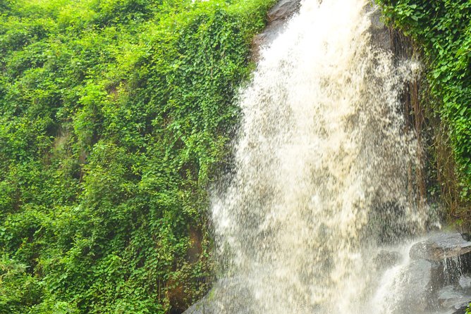 Exciting Coffee Tours From Nairobi - Tour Price and Highlights