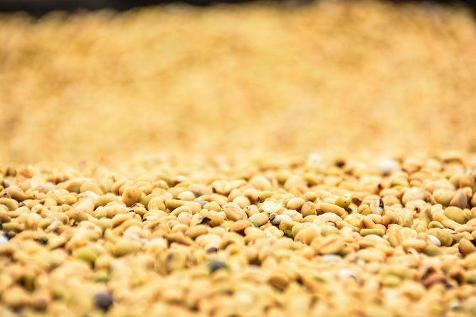 Exciting Coffee Tours From Nairobi - Tour Inclusions and Highlights