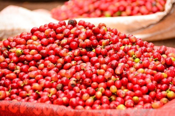 Exciting Coffee Tours From Nairobi - Booking Details and Options