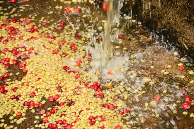 Exciting Coffee Tours From Nairobi - Frequently Asked Questions