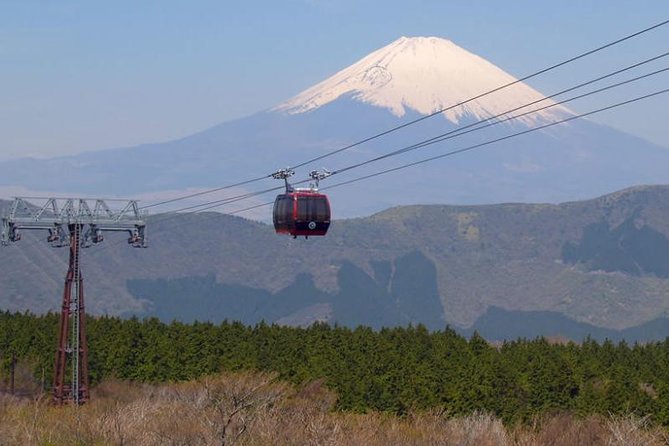 Exciting Hakone - One Day Tour From Tokyo - Tour Information and Accessibility