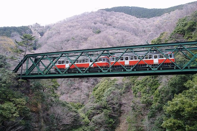 Exciting Hakone - One Day Tour From Tokyo - Important Details to Consider