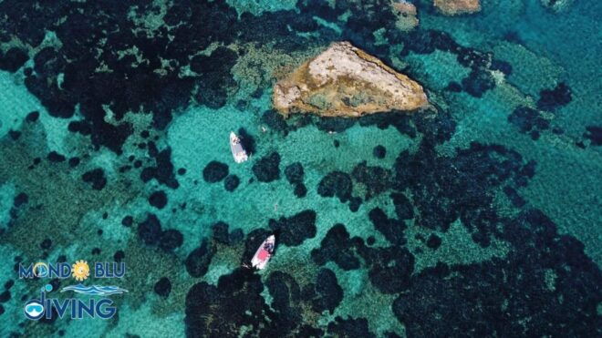 Exciting Half-Day Group Tour With Drink Included - Itinerary