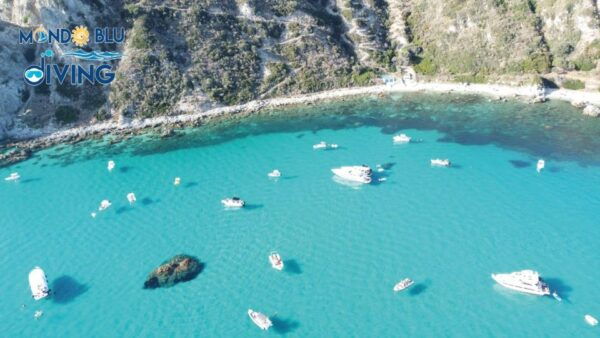 Exciting Half-Day Group Tour With Drink Included - Frequently Asked Questions