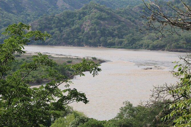 Exciting Journey Through Santa Fé and Olaya - Reviews and Ratings