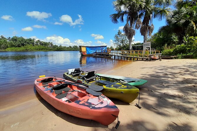 Exciting Kayak Adventure at Casa Da Farinha - What to Expect on the Tour