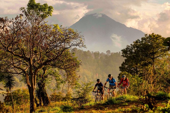 Exciting Mountain Biking Adventure in Antigua - Tour Overview
