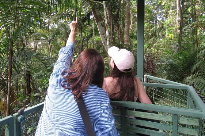 Exciting Rainforest Adventure: Aerial Tram & Sloths - Tour Overview
