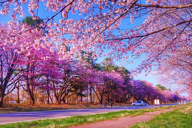 Exclusive 2-Day Tour to Hokkaidos Two Cultural Heritage Areas - Good To Know