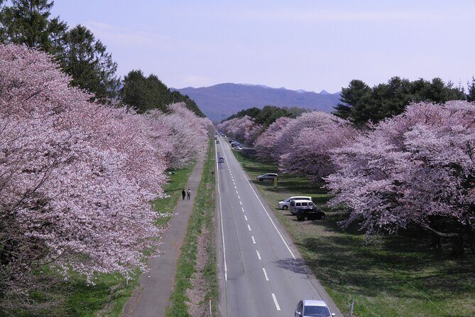 Exclusive 2-Day Tour to Hokkaidos Two Cultural Heritage Areas - In-Depth Look at the 2-Day Hokkaido Cultural Heritage Tour