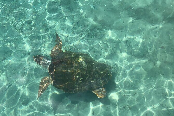 Exclusive 4 -Hour Private nature Tour: West Curacao's Best - FAQ  