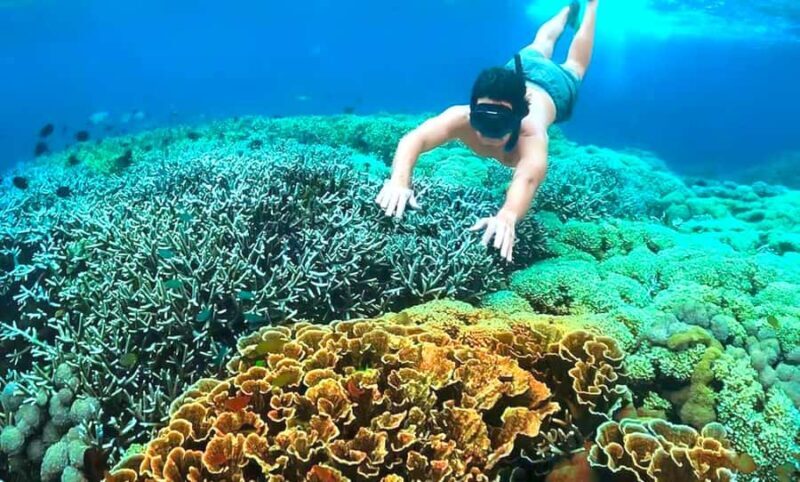 Exclusive 4 Secret Gilis: Petagan, Bidara, Kapal, and Kondo - A Day in Paradise: What You Can Expect