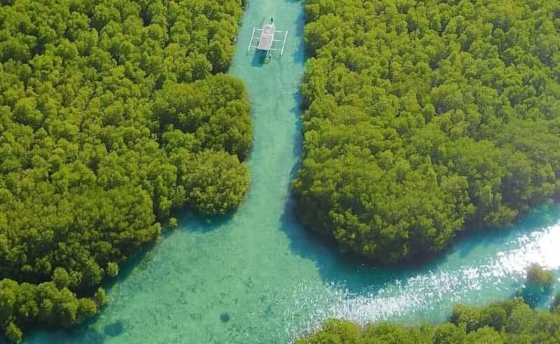 Exclusive 4 Secret Gilis: Petagan, Bidara, Kapal, and Kondo - First Stop: Gili Petagan - The Mangrove Forest