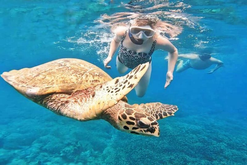 Exclusive 5 Secret Gilis: Snorkeling & Island Hopping - Introduction: An Authentic Day of Island Discovery