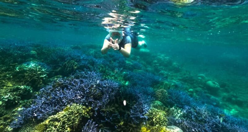Exclusive 5 Secret Gilis: Snorkeling & Island Hopping - Good To Know